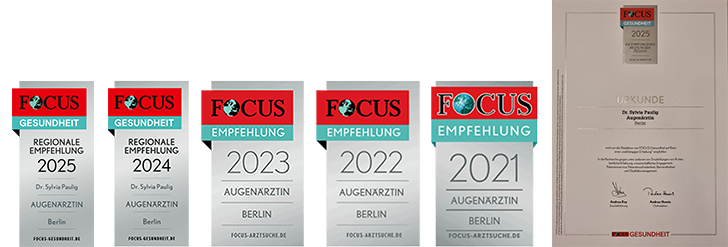 Fünf teils rote Preise mit der Bezeichnung Fokus und eine Urkunde daneben